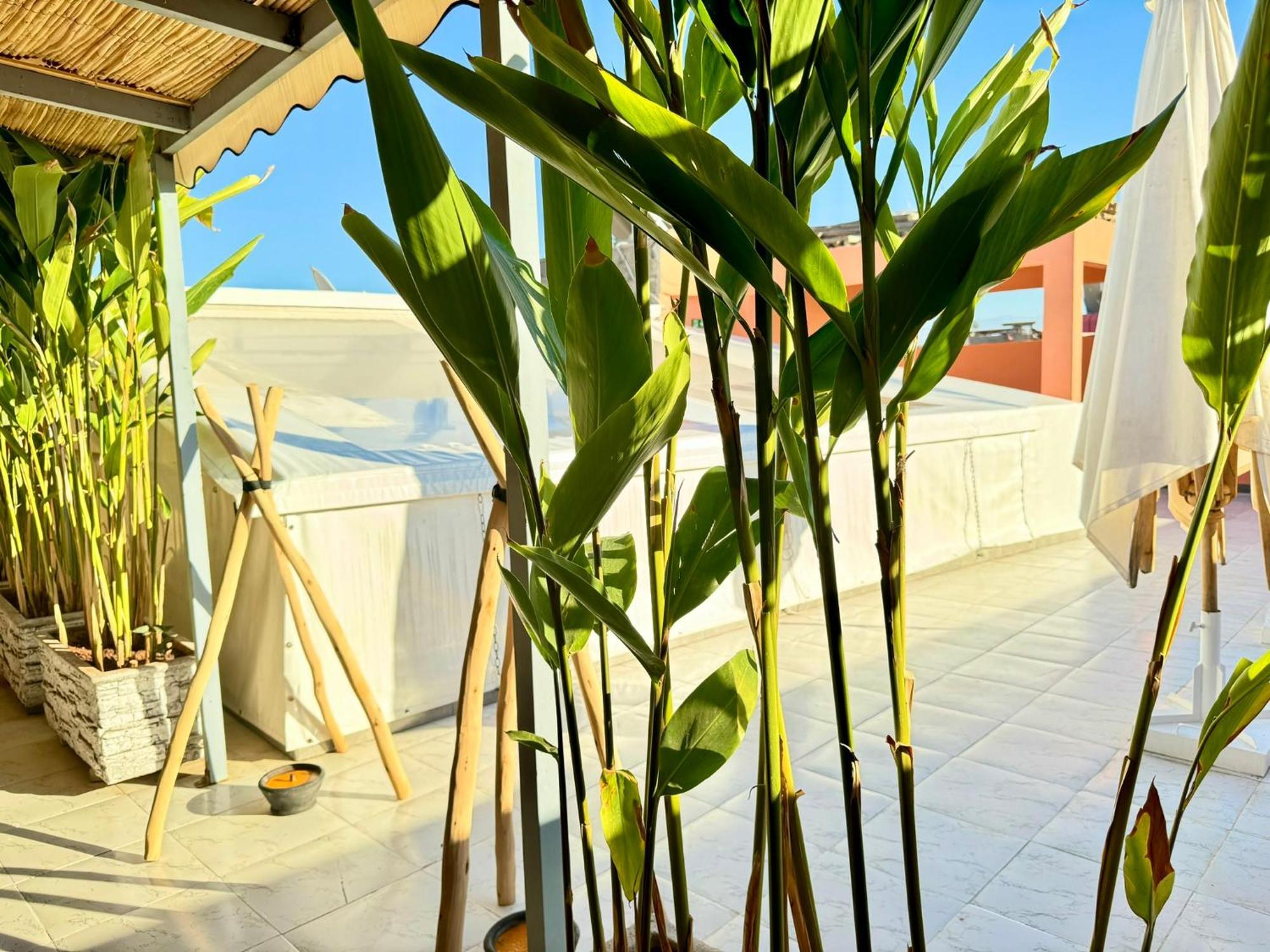 Riad Arrahma マラケシュ エクステリア 写真